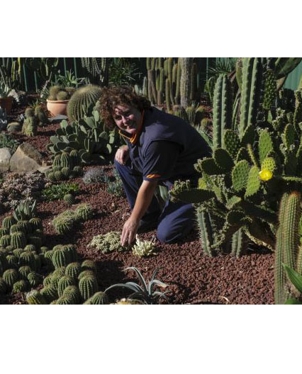 Horticulturalist Jackie Warburton