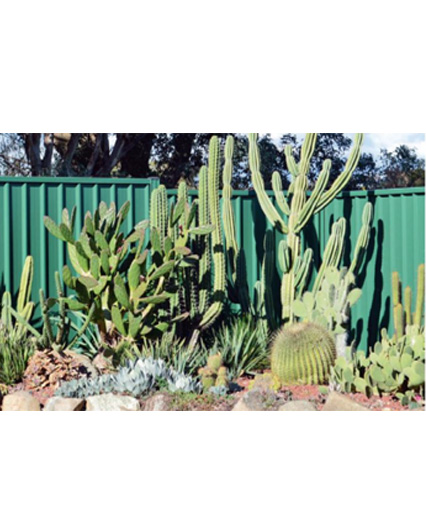 Jackie Warburton Horticulturist Canberra