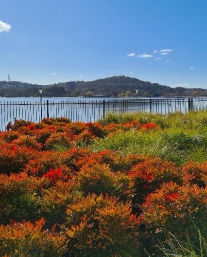 Horticulturist Jackie Warburton
