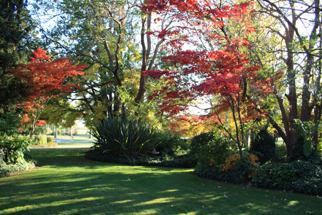 Garden Maintenance Canberra