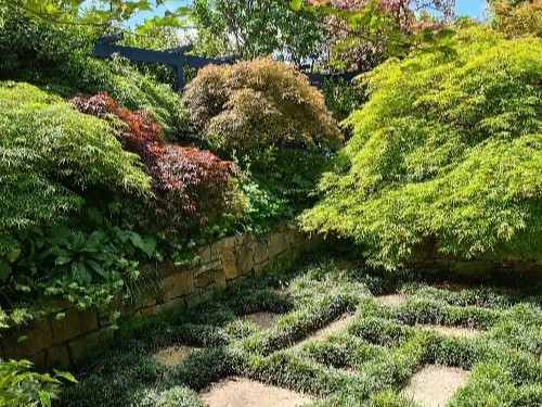 Garden Maintenance Canberra