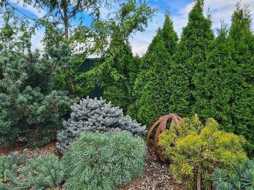 Garden Maintenance Canberra