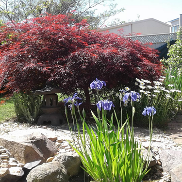 Garden Maintenance Canberra