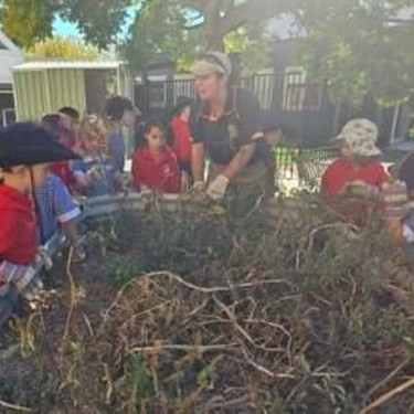 Garden Maintenance Canberra