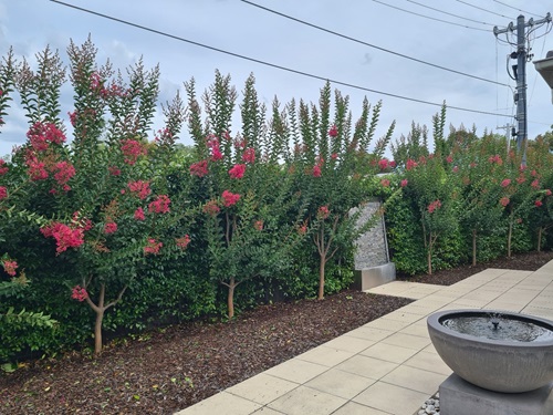 Garden Maintenance Canberra