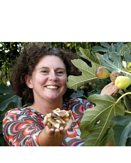 Sustainable Garden Jackie Warburton