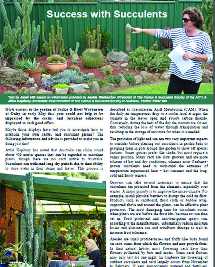 Success with Succulents Jackie Warburton
